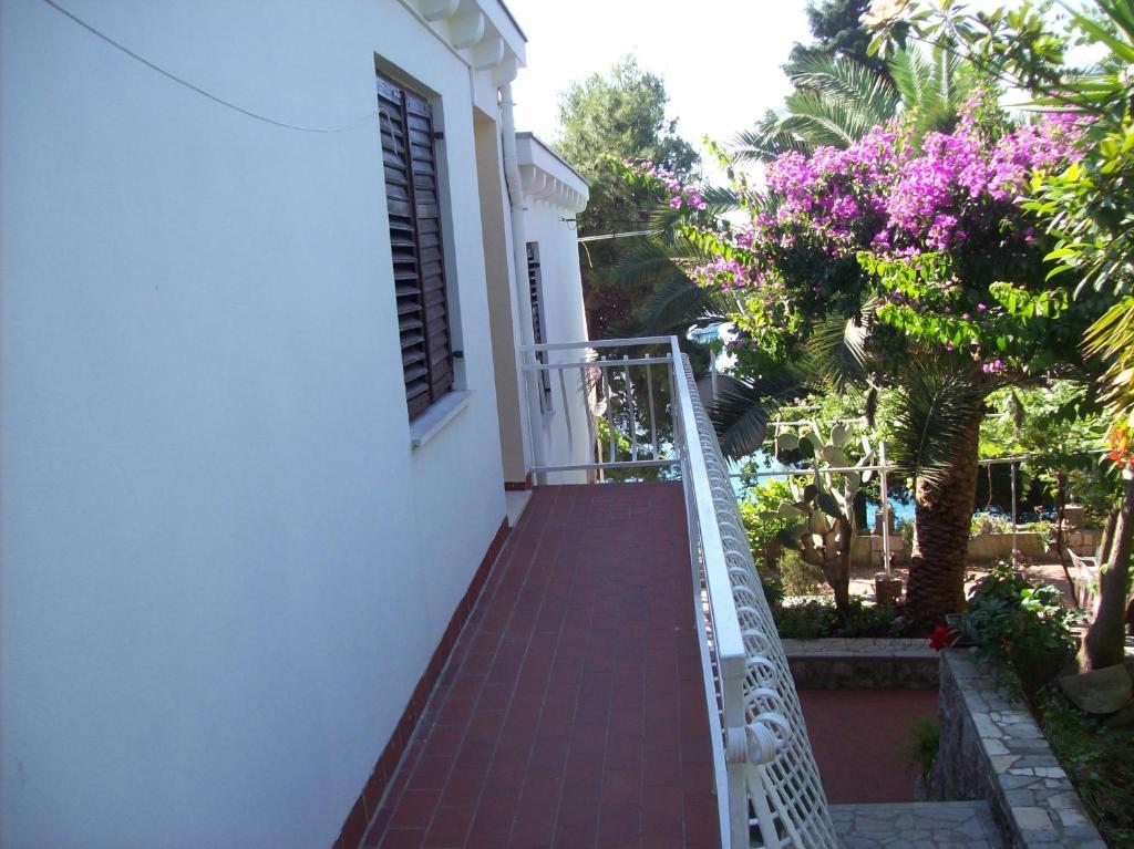 Captain'S Villa Molunat Ruang foto
