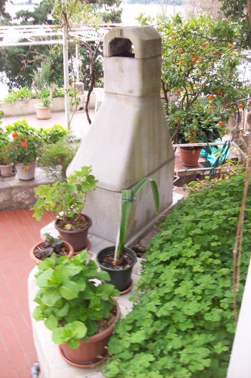 Captain'S Villa Molunat Bagian luar foto